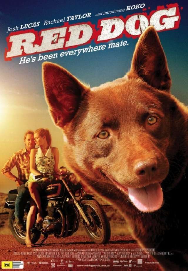 Kırmızı Köpek – Red Dog