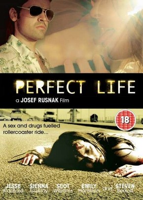 Perfect Life