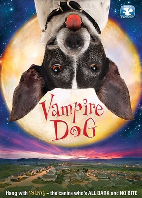 Vampir Köpek