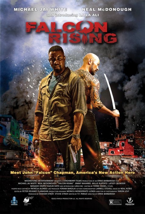 Kod Adı: Şahin – Falcon Rising