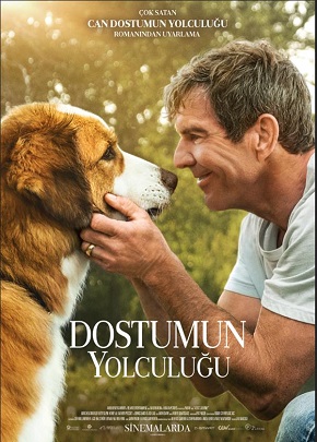 Dostumun Yolculuğu 2