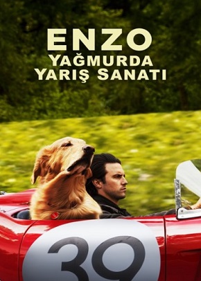 Enzo: Yağmurda Yarış Sanatı