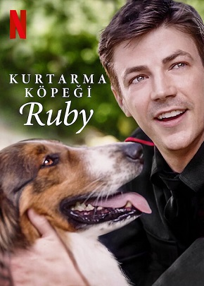 Kurtarma Köpeği Ruby