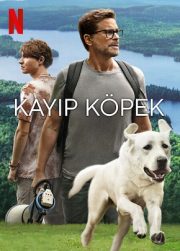 Kayıp Köpek