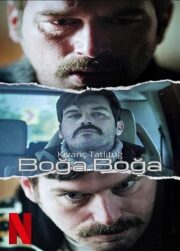 Boğa Boğa