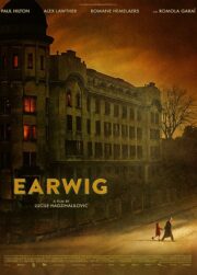 Earwig