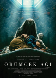 Örümcek Ağı