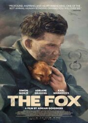 The Fox