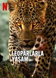 Leoparlarla Yaşam