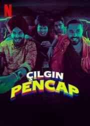 Çılgın Pencap