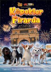 Köpekler Firarda