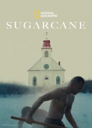 Sugarcane